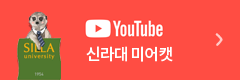 유튜브 신라대 미어캣